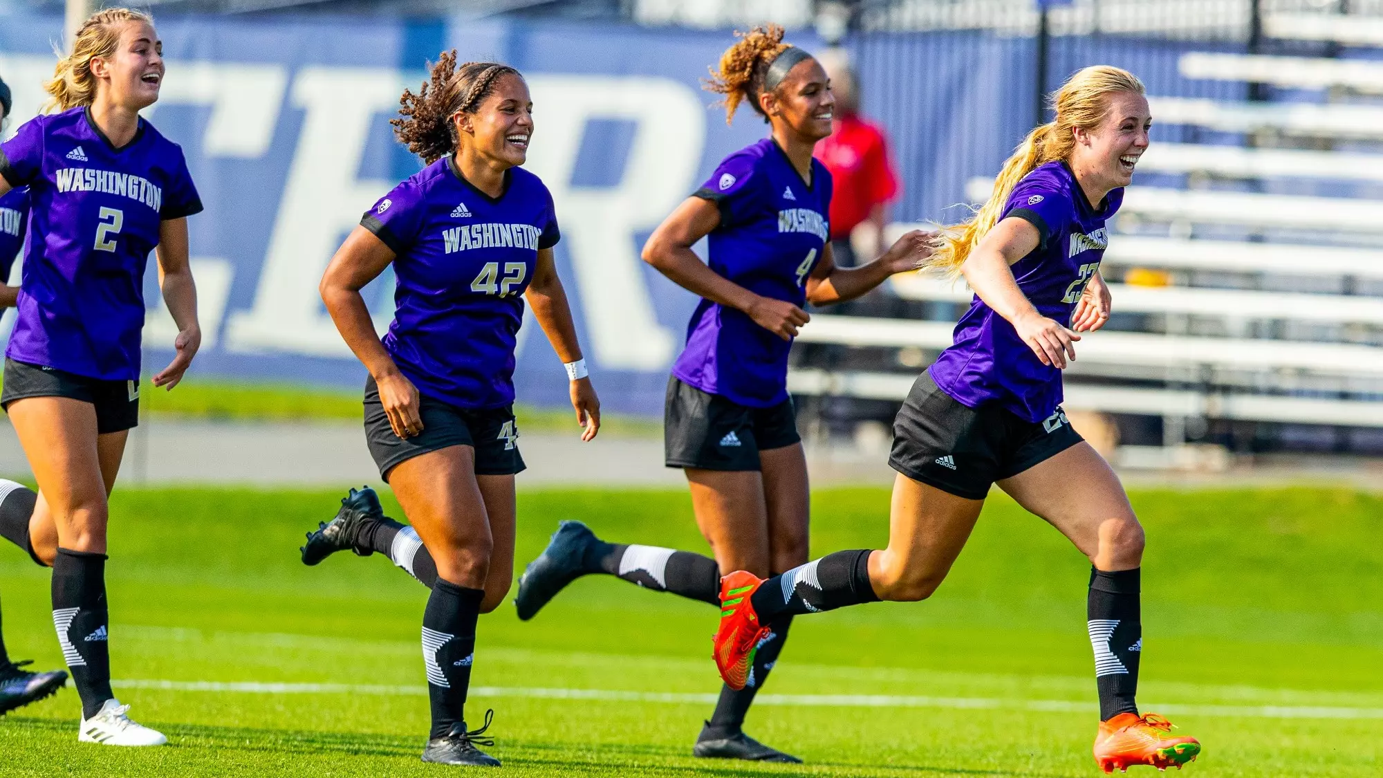 掌握一些有 掌握一些有