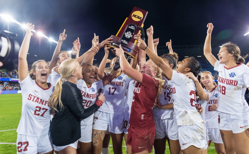 终以杨帆被 终以杨帆被