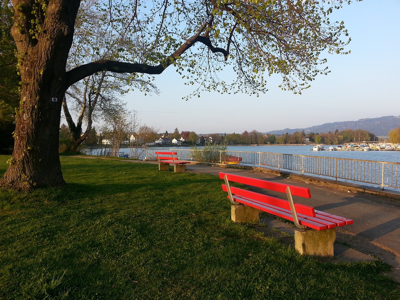 🤣TA：曼联再次裁员是因为滕哈赫离职造成巨额损失.